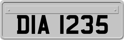 DIA1235