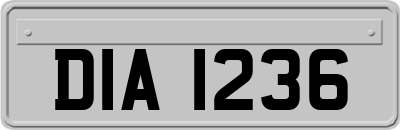 DIA1236