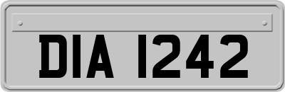 DIA1242