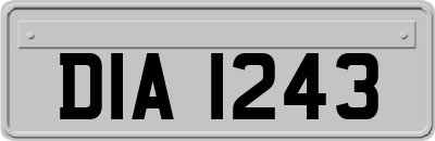 DIA1243