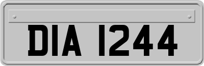DIA1244