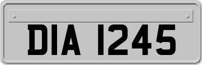 DIA1245