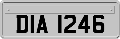 DIA1246
