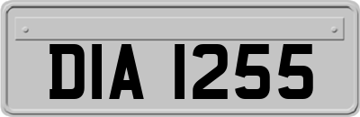 DIA1255