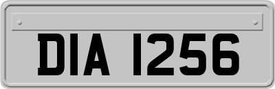 DIA1256