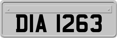 DIA1263