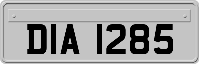 DIA1285