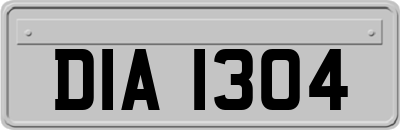 DIA1304