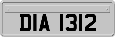 DIA1312