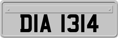 DIA1314