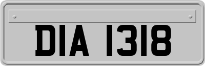 DIA1318