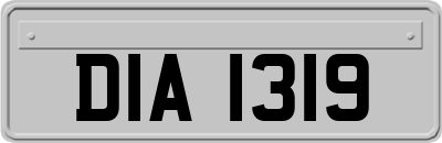 DIA1319