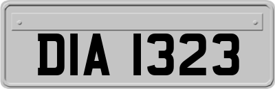 DIA1323