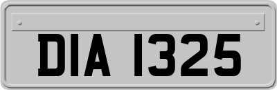 DIA1325