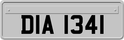 DIA1341
