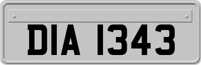 DIA1343