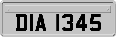 DIA1345