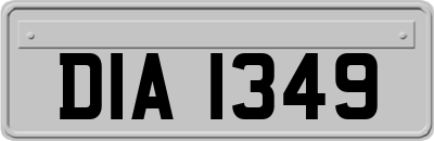 DIA1349