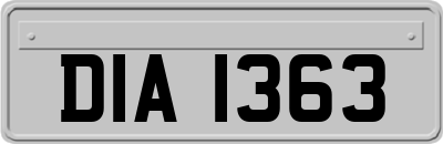 DIA1363