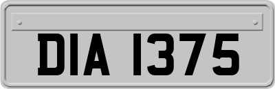 DIA1375