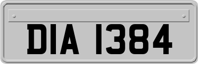 DIA1384