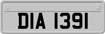 DIA1391