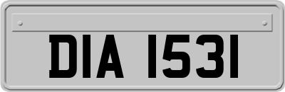 DIA1531