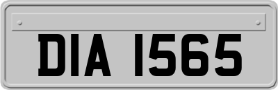 DIA1565