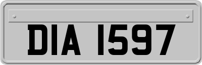 DIA1597