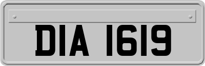 DIA1619