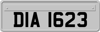 DIA1623