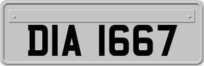 DIA1667