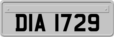 DIA1729