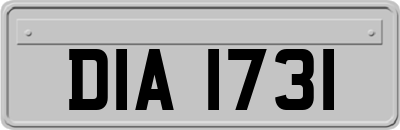 DIA1731