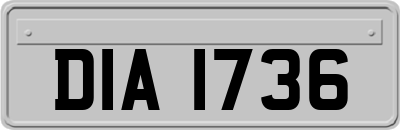 DIA1736