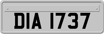 DIA1737
