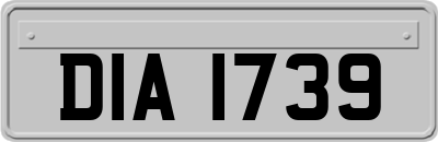 DIA1739