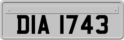 DIA1743