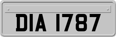 DIA1787