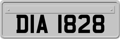 DIA1828
