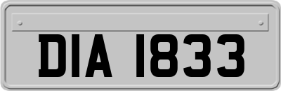 DIA1833
