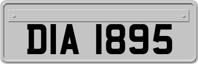 DIA1895