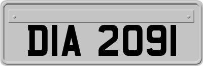 DIA2091