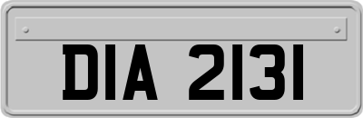 DIA2131