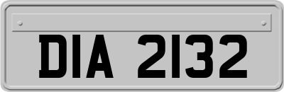 DIA2132