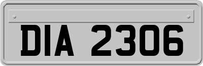 DIA2306