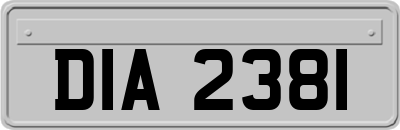 DIA2381