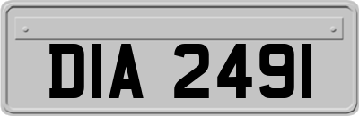 DIA2491