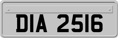DIA2516
