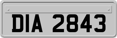 DIA2843